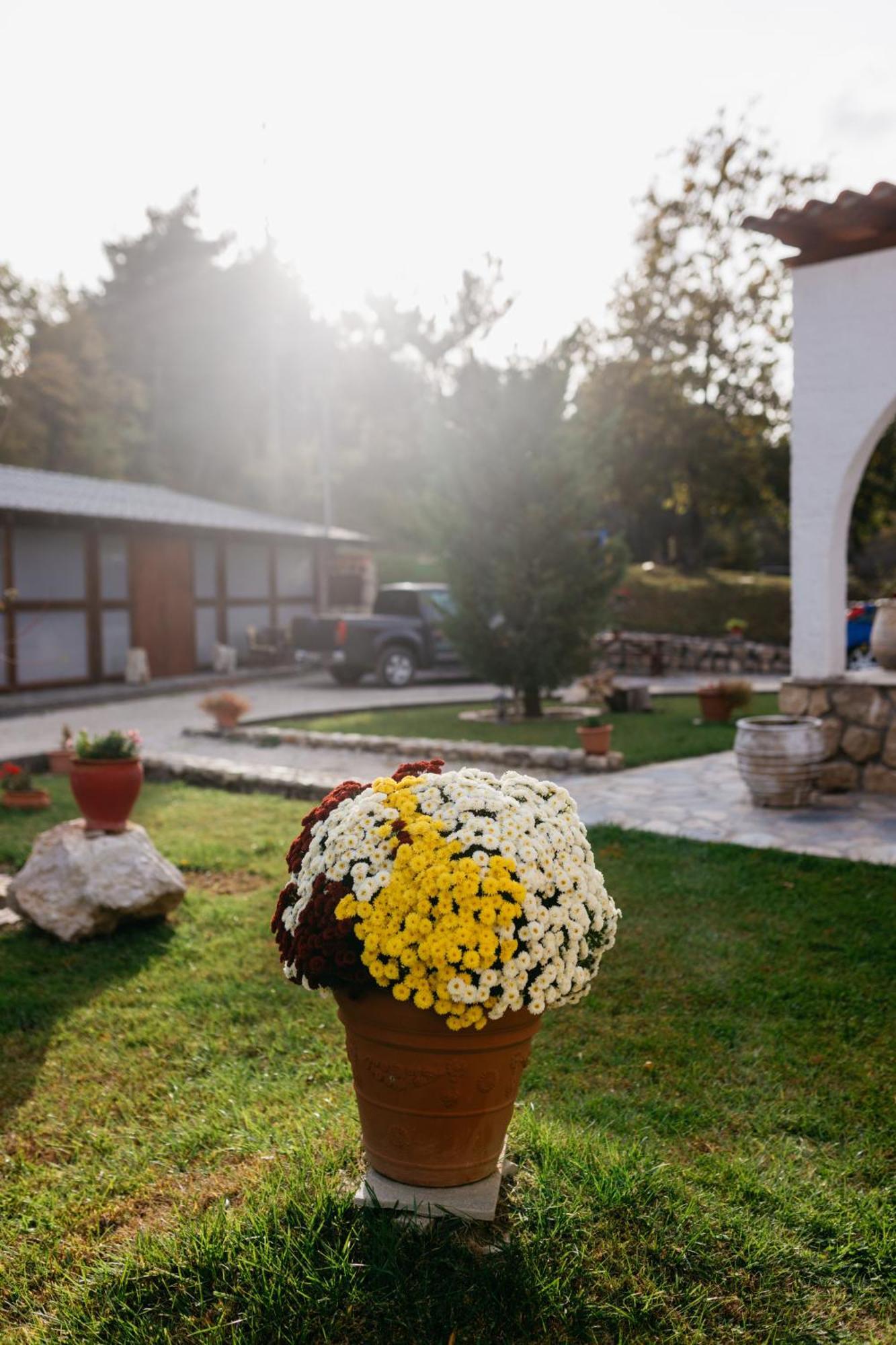 Apolithomeno Dasos Holiday Villas Near Alexandroupolis Lefkimmi  Exterior photo